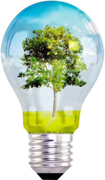 Energiso – Solar & Renewable Energy - hero-shape-1-1